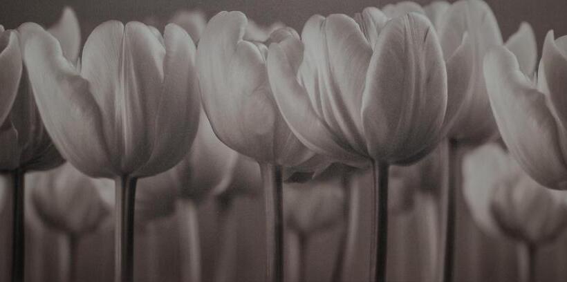 غرفة قياسية, Au Jardin Fleuri