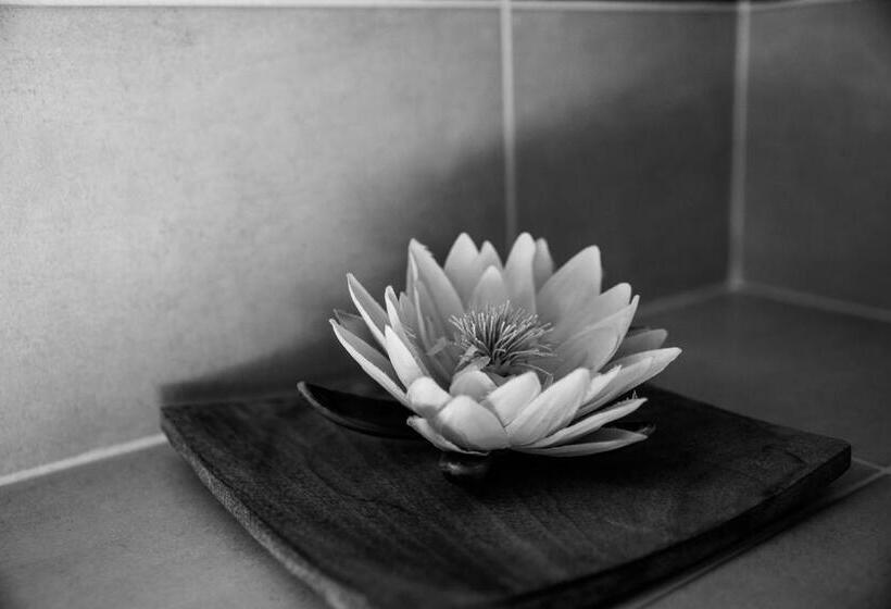 غرفة عائلية, Au Jardin Fleuri