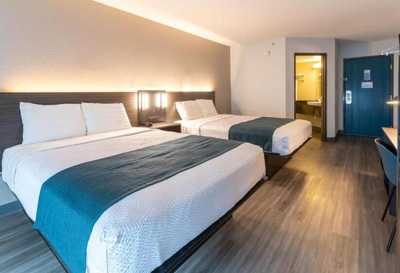 جناح جونيور ديلوكس, Motel 6 Fort Lupton, Co