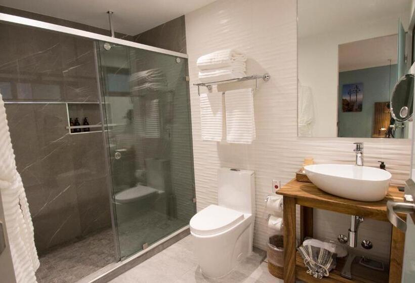 Люкс Повышенной Комфортности, Casa Santiago Hotel Boutique