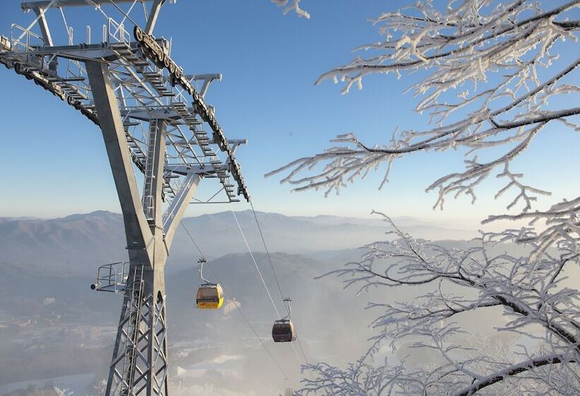 스위트, Phoenix Hotel Pyeongchang