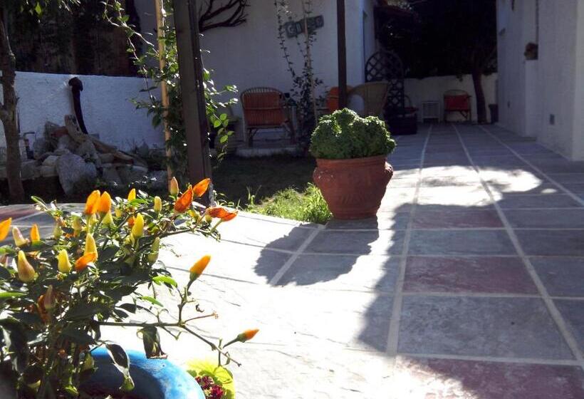 Superior Trippelrum, Studio Porto Marina