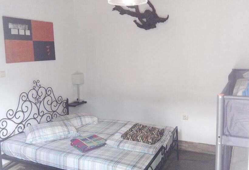 Superior Trippelrum, Studio Porto Marina