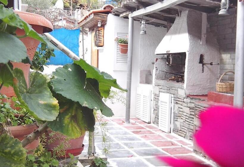 Superior Trippelrum, Studio Porto Marina