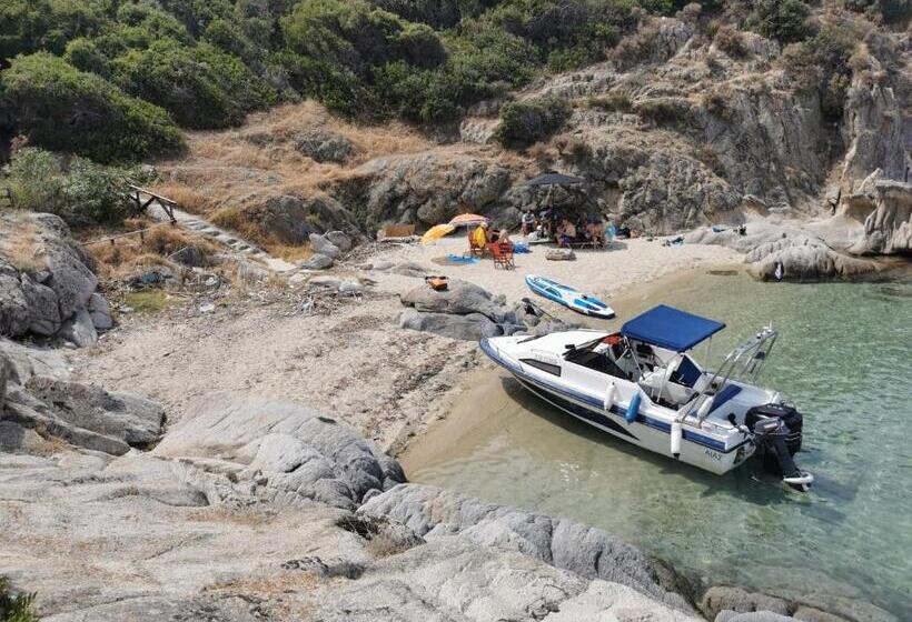 Superior Trippelrum, Studio Porto Marina