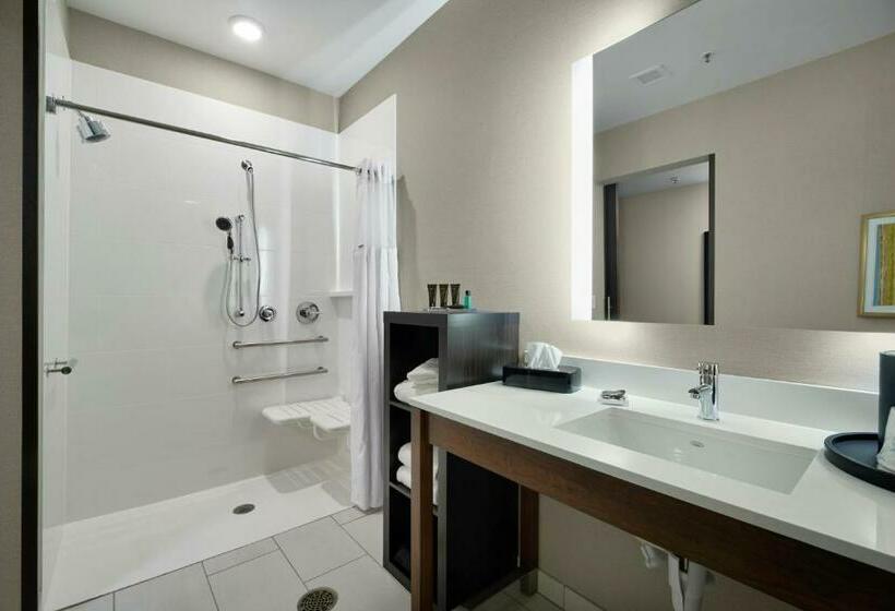 غرفة قياسية سرير كينج لذوى الإحتياجات الخاصة, Wingate By Wyndham Hurricane Wv