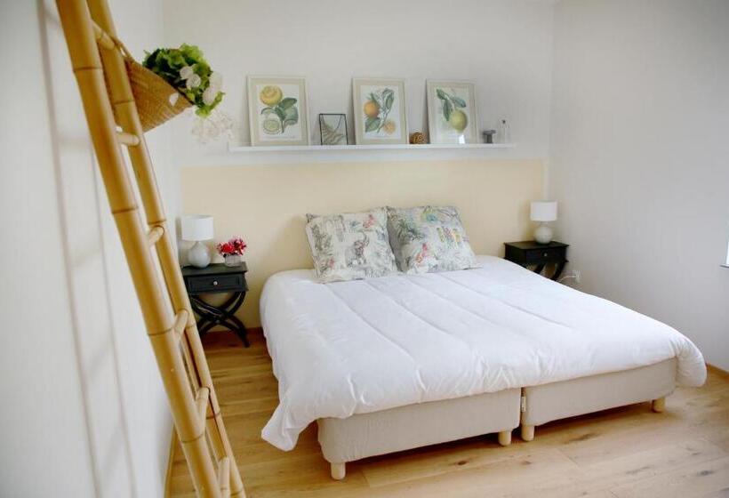 غرفة ديلوكس, Rejaillir