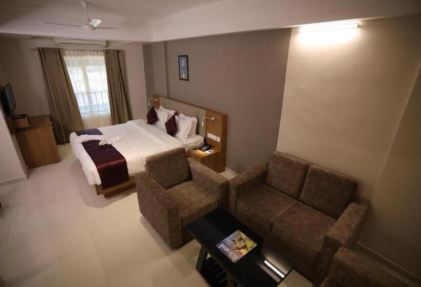 Люкс Повышенной Комфортности, Dhanya Residency