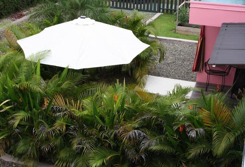 شقة غرفة واحدة مطلة على الحديقة, Daleese