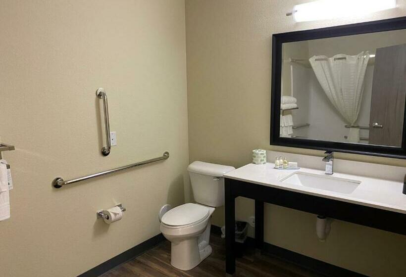 غرفة قياسية سرير كينج لذوى الإحتياجات الخاصة, Cobblestone Inn & Suites  Forest City