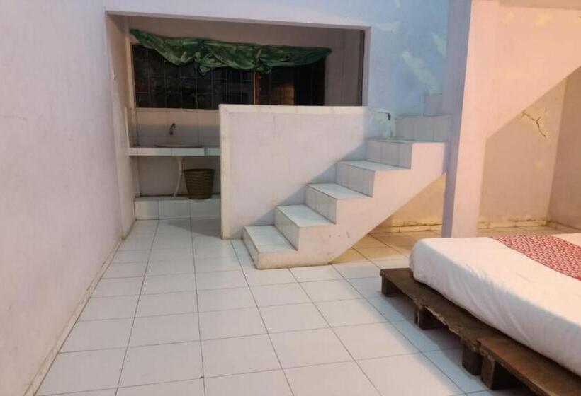 이코노미 룸, Ibma Smart