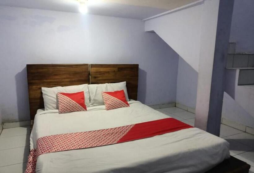 이코노미 룸, Ibma Smart