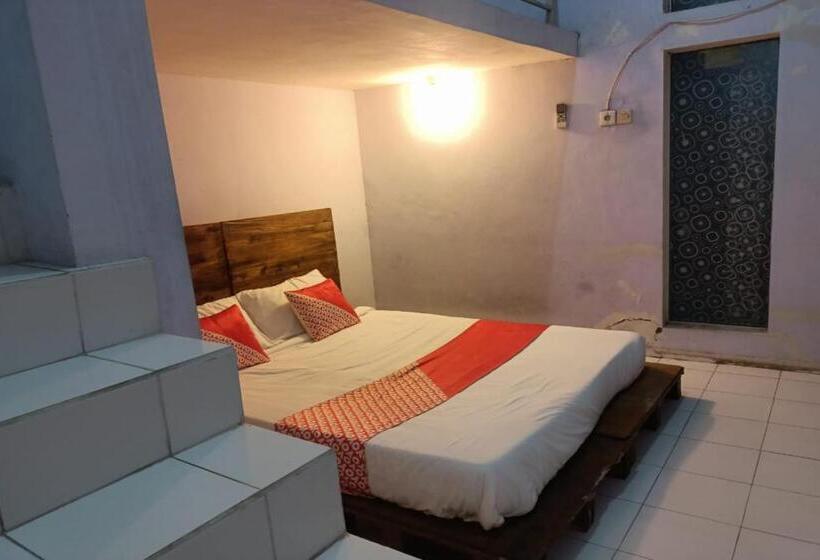 이코노미 룸, Ibma Smart