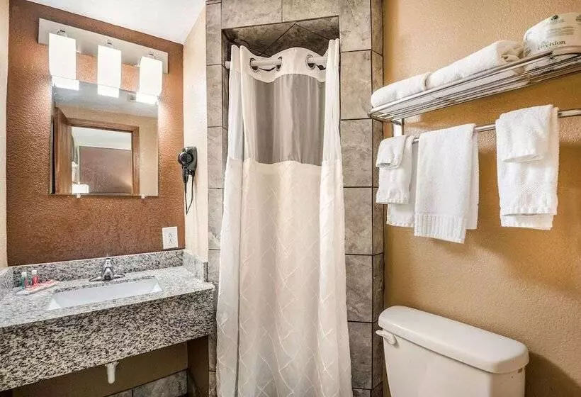 ２ダブルベッドのスタンダードルーム, Econo Lodge