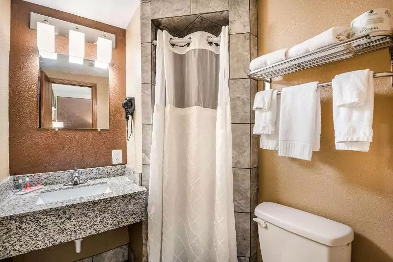 キングサイズベッドのスタンダードルーム, Econo Lodge