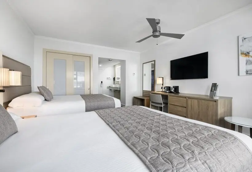 Deluxe Room City View