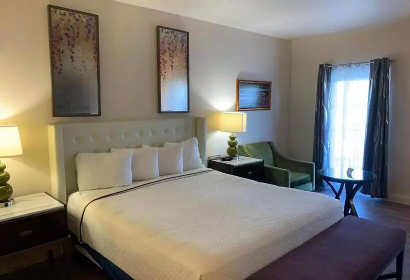 اتاق استاندارد با تخت بزرگ, Rocklin Park