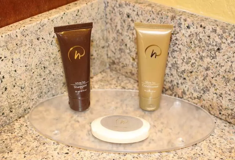 デラックスルーム, Rosen Inn Closest to Universal