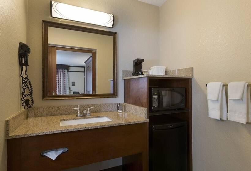 חדר דלוקס, Rosen Inn Closest to Universal