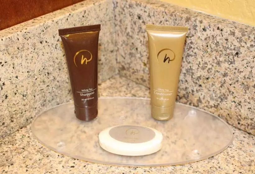デラックスルーム, Rosen Inn Closest to Universal