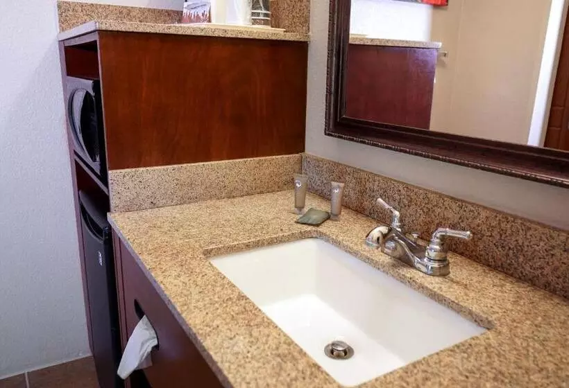 デラックスルーム, Rosen Inn Closest to Universal