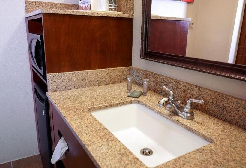 스탠다드 룸 킹사이즈 침대, Rosen Inn Closest to Universal