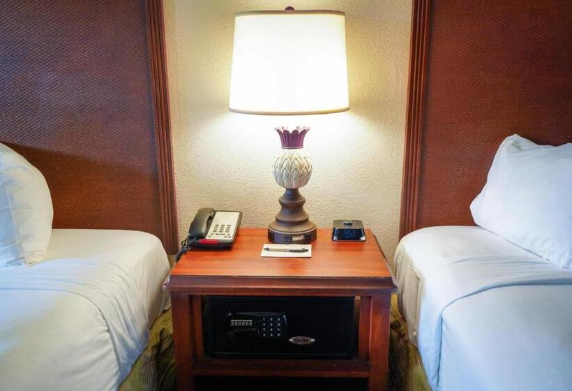 디럭스 룸, Rosen Inn Closest to Universal