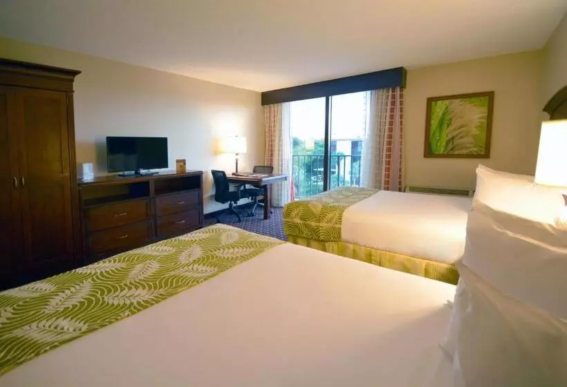 デラックスルーム, Rosen Inn Closest to Universal
