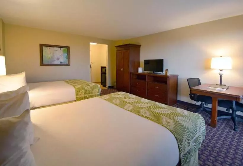 デラックスルーム, Rosen Inn Closest to Universal