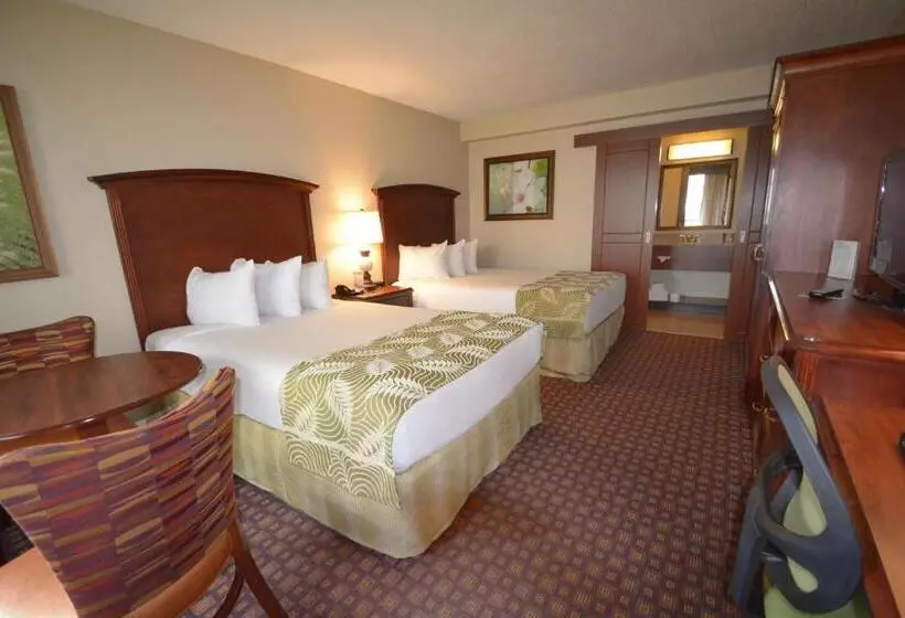 デラックスルーム, Rosen Inn Closest to Universal