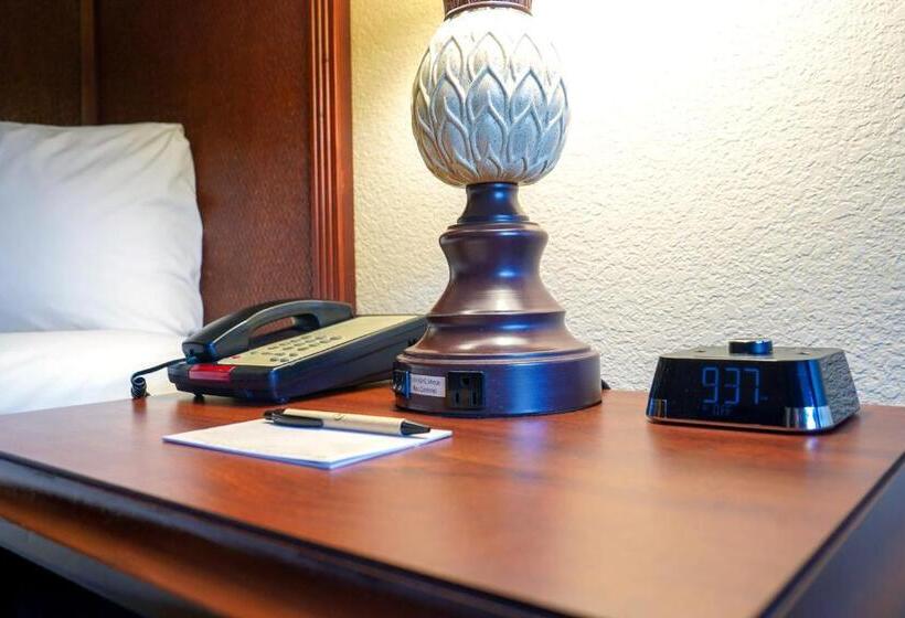 חדר דחוקס עם מיטת קינג, Rosen Inn Closest to Universal