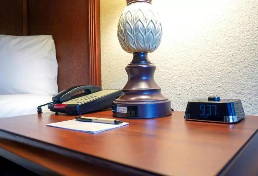 キングサイズベッドのデラックスルーム, Rosen Inn Closest to Universal