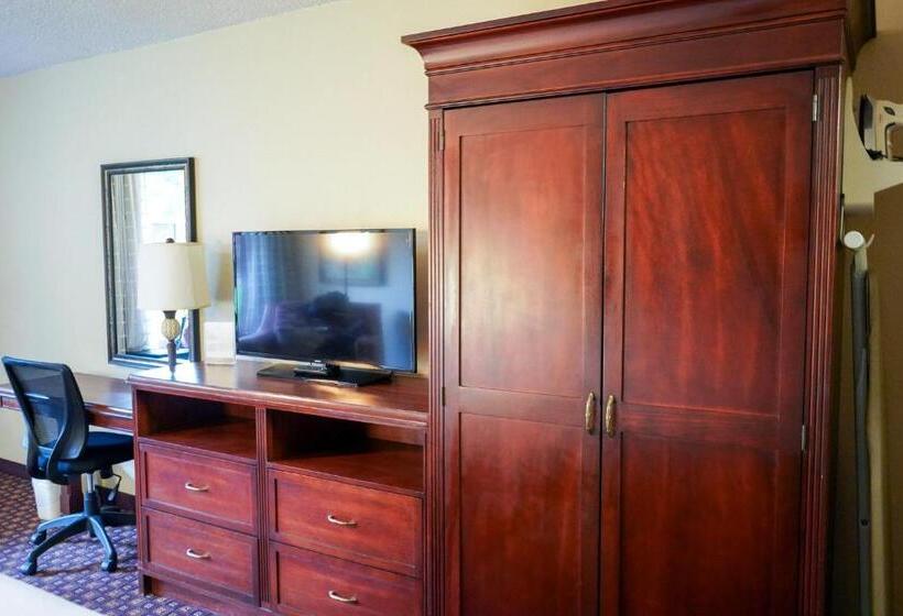 스탠다드 룸 킹사이즈 침대, Rosen Inn Closest to Universal