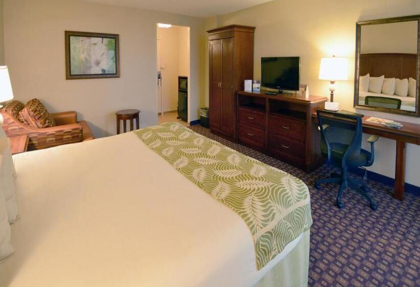 חדר דחוקס עם מיטת קינג, Rosen Inn Closest to Universal
