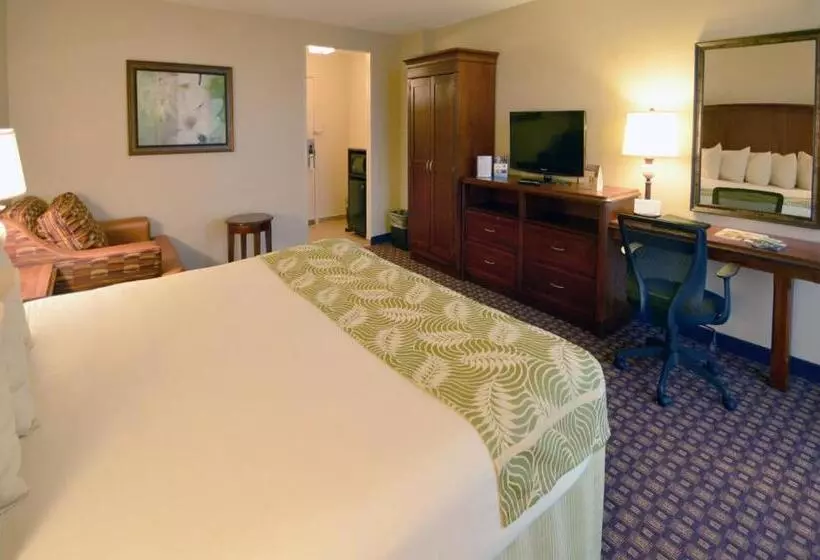 キングサイズベッドのデラックスルーム, Rosen Inn Closest to Universal