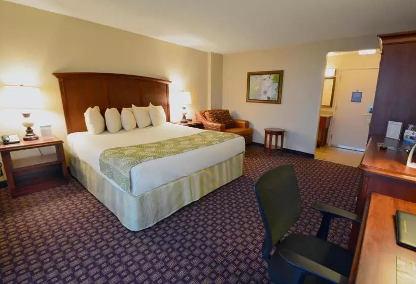 キングサイズベッドのデラックスルーム, Rosen Inn Closest to Universal