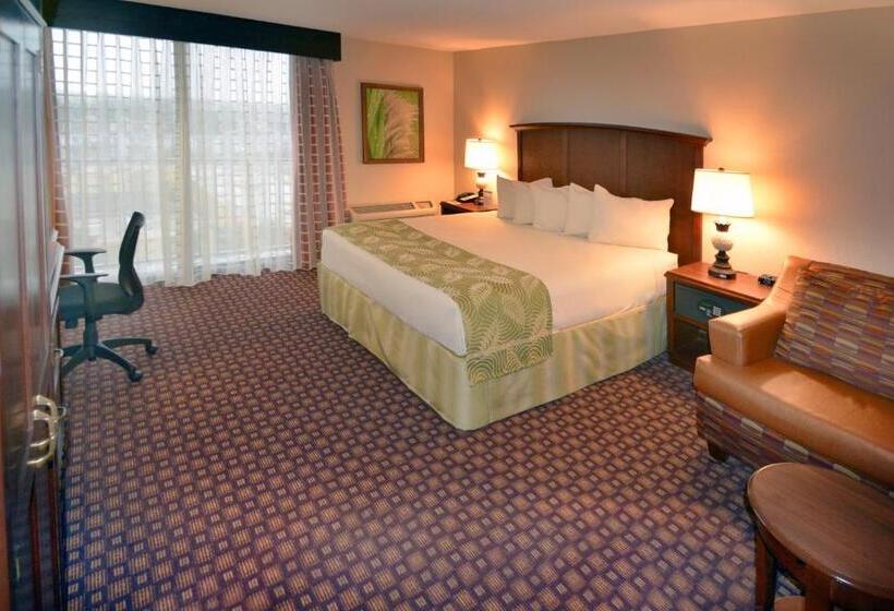 스탠다드 룸 킹사이즈 침대, Rosen Inn Closest to Universal