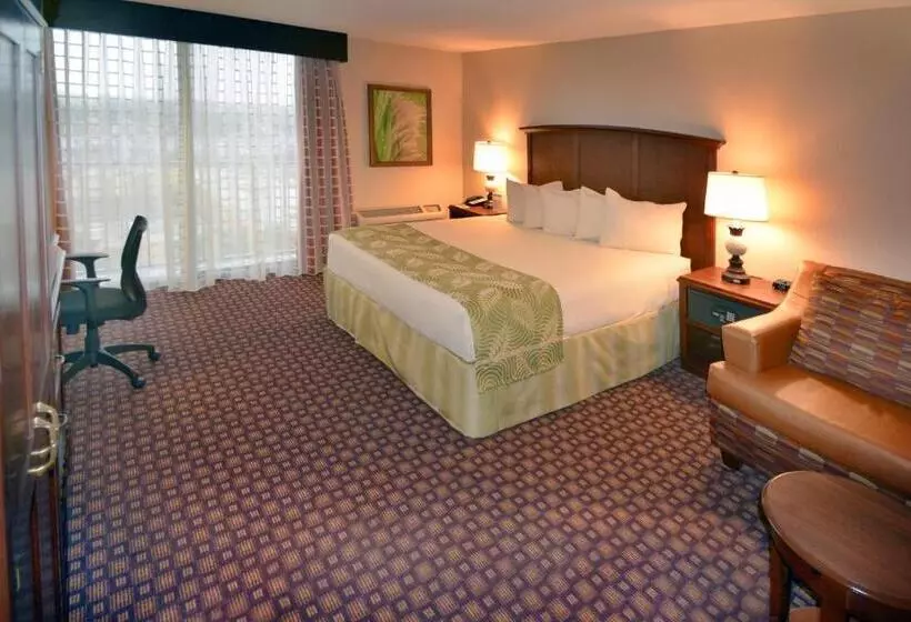 キングサイズベッドのデラックスルーム, Rosen Inn Closest to Universal