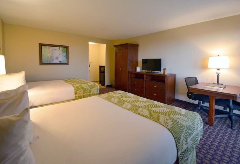 חדר דלוקס, Rosen Inn Closest to Universal
