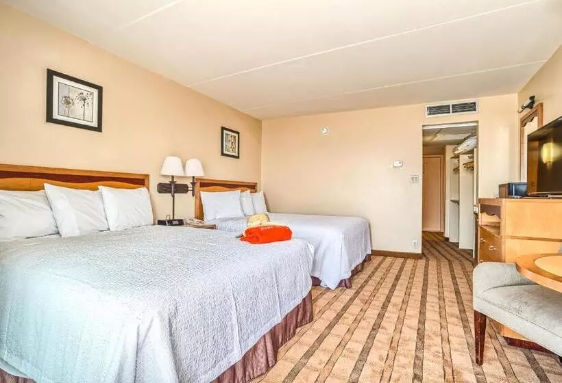 Standard-huone Merinäkymä, Reges Oceanfront Resort
