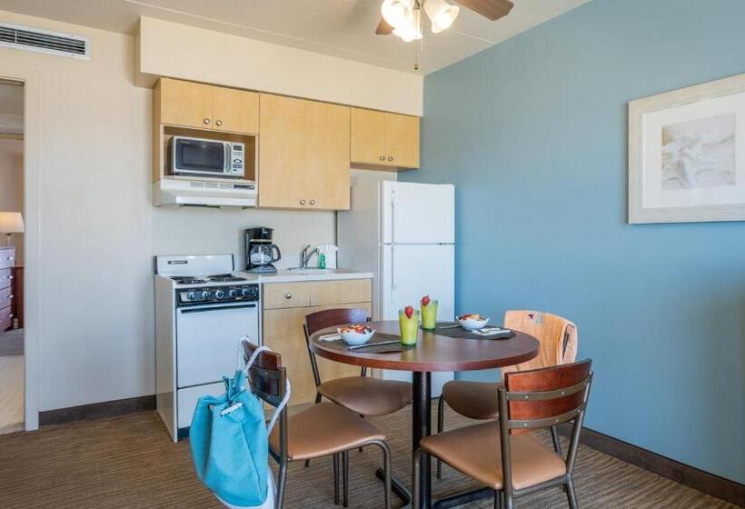 经典套房, Reges Oceanfront Resort