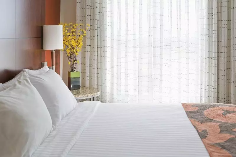 سوئیت با تخت بزرگ, Residence Inn By Marriott Amarillo