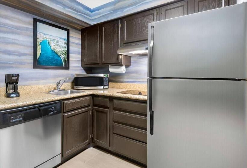 Suite met Uitzicht op de Stad, Residence Inn Indianapolis Downtown On The Canal