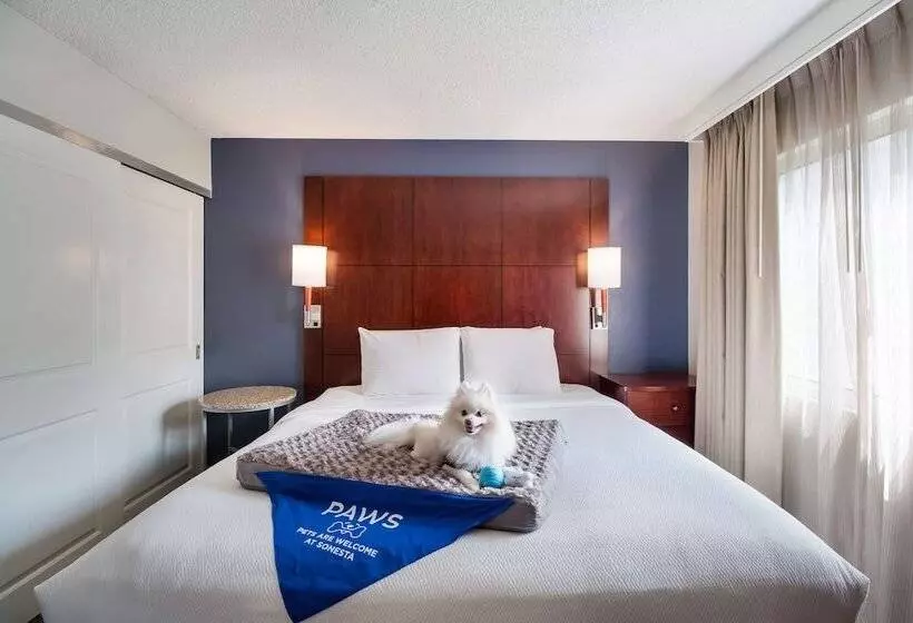 سوئیت 2 خوابه, Sonesta Es Suites Huntington Beach Fountain Valley