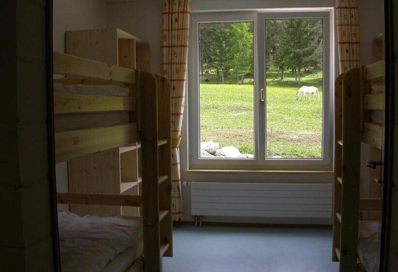 غرفة رباعية اقتصادية مع حمام مشترك, Reitstall Und Saloon San Jon