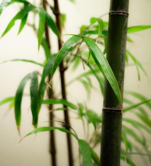 Suite, The Junei Hotel Kyoto