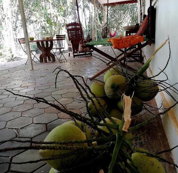 带露台的套间, La Maison Des Bambous Lmdbsr