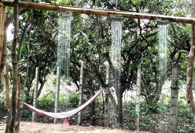 带露台的套间, La Maison Des Bambous Lmdbsr