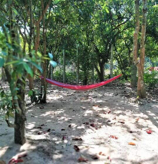 高级套房, La Maison Des Bambous Lmdbsr