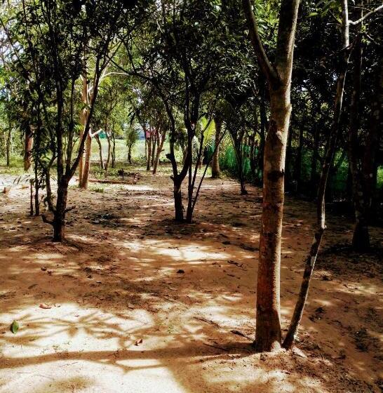 带露台的套间, La Maison Des Bambous Lmdbsr